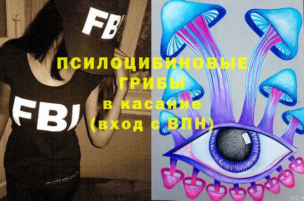 МДПВ Арсеньев