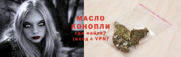 твердый Туринск