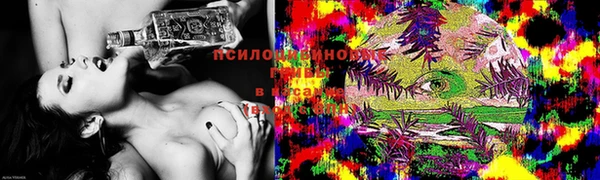 мдпв Янаул