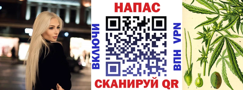 Каннабис THC 21%  купить наркоту  Шуя 